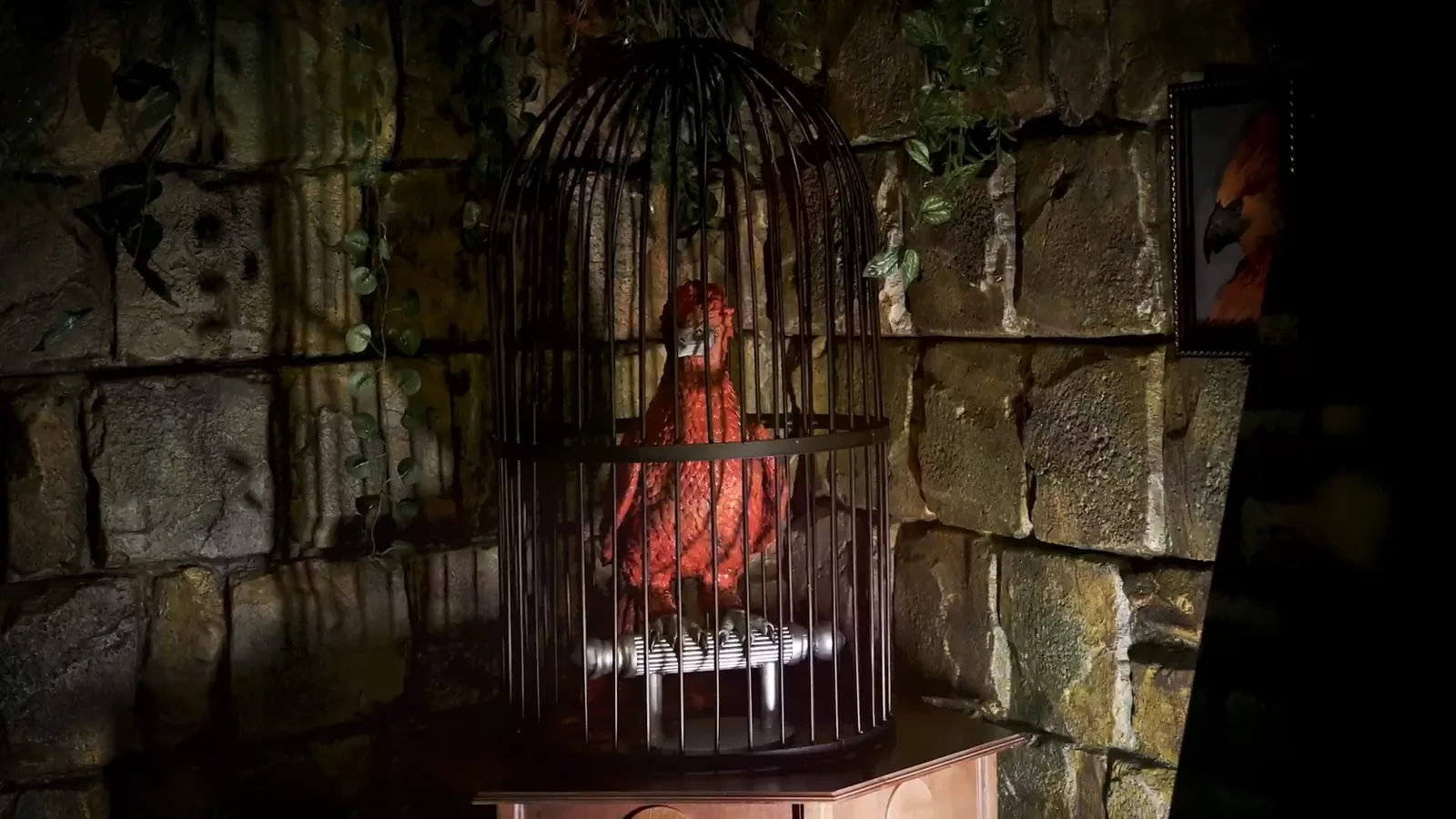 The caged bird, in Magic School